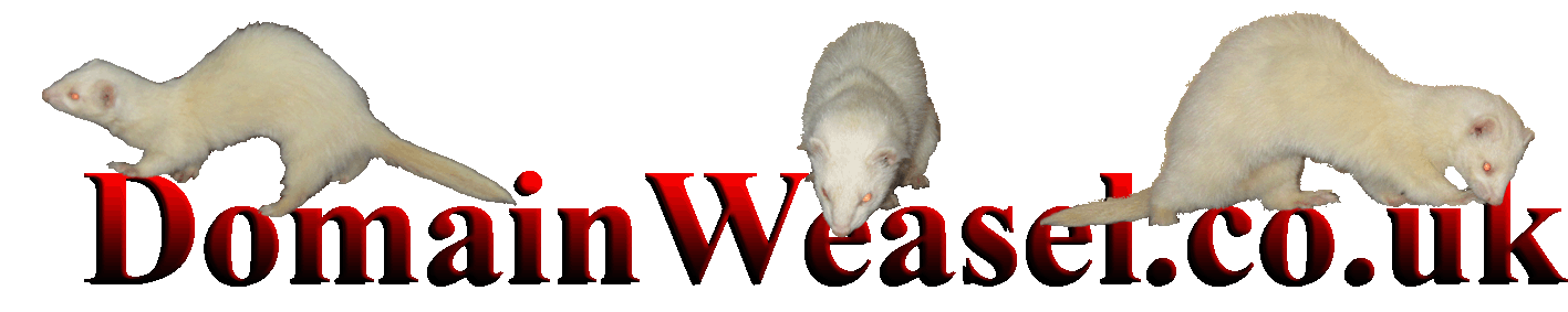 Domain Weasel